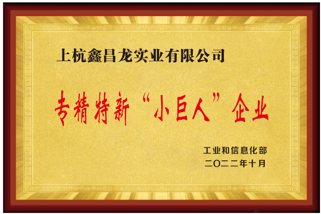 國家級(jí)專精特新“小巨人”企業(yè)